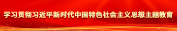 极品美女插逼高清观看学习贯彻习近平新时代中国特色社会主义思想主题教育